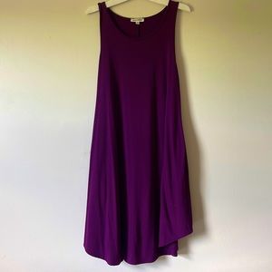 Medium Plum Dress W Pockets